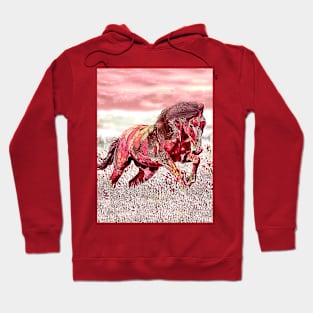 Abstract Wild Horse Hoodie